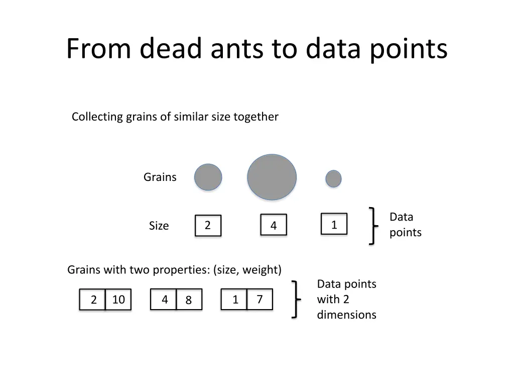 from dead ants to data points