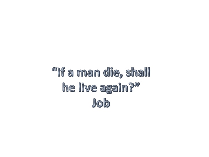 if a man die shall he live again job