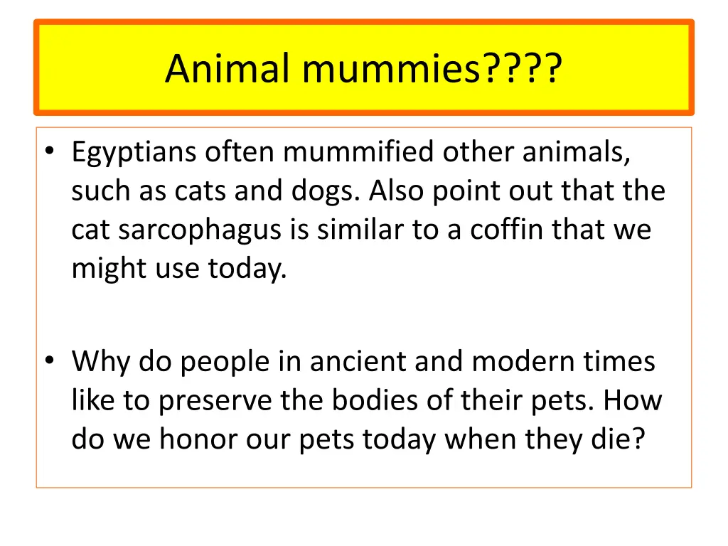 animal mummies 1