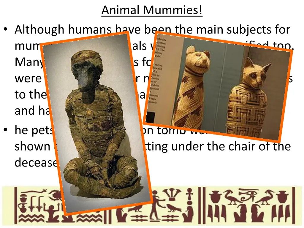 animal mummies