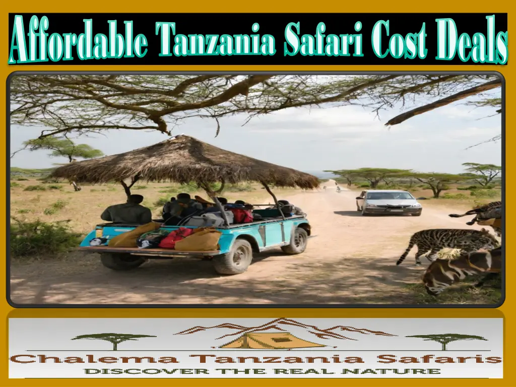 affordable tanzania safari cost deals affordable 1