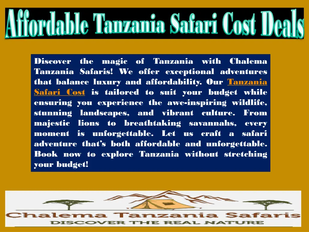 affordable tanzania safari cost deals affordable 3