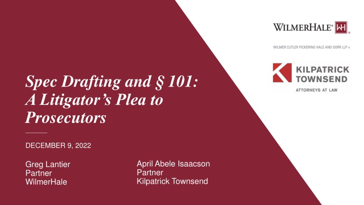 spec drafting and 101 a litigator s plea