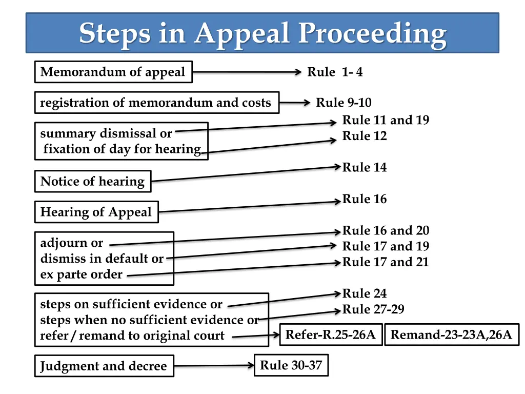 steps in appeal proceeding