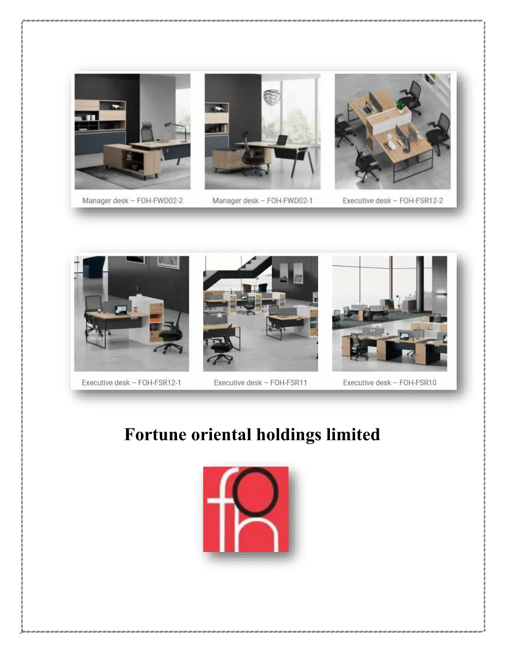 fortune oriental holdings limited