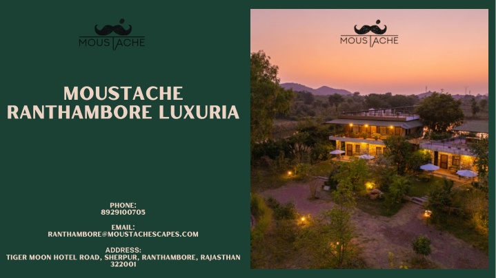 moustache ranthambore luxuria