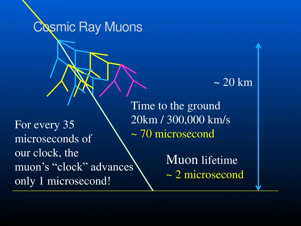 cosmic ray muons