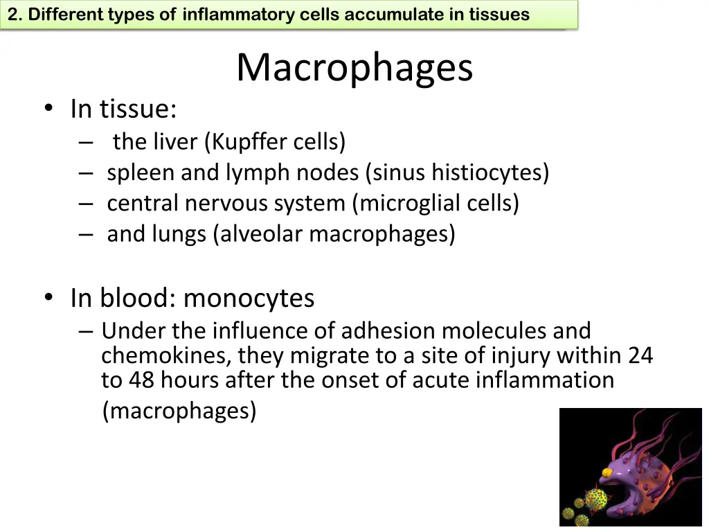 1 define chronic inflammation its causes effects 10