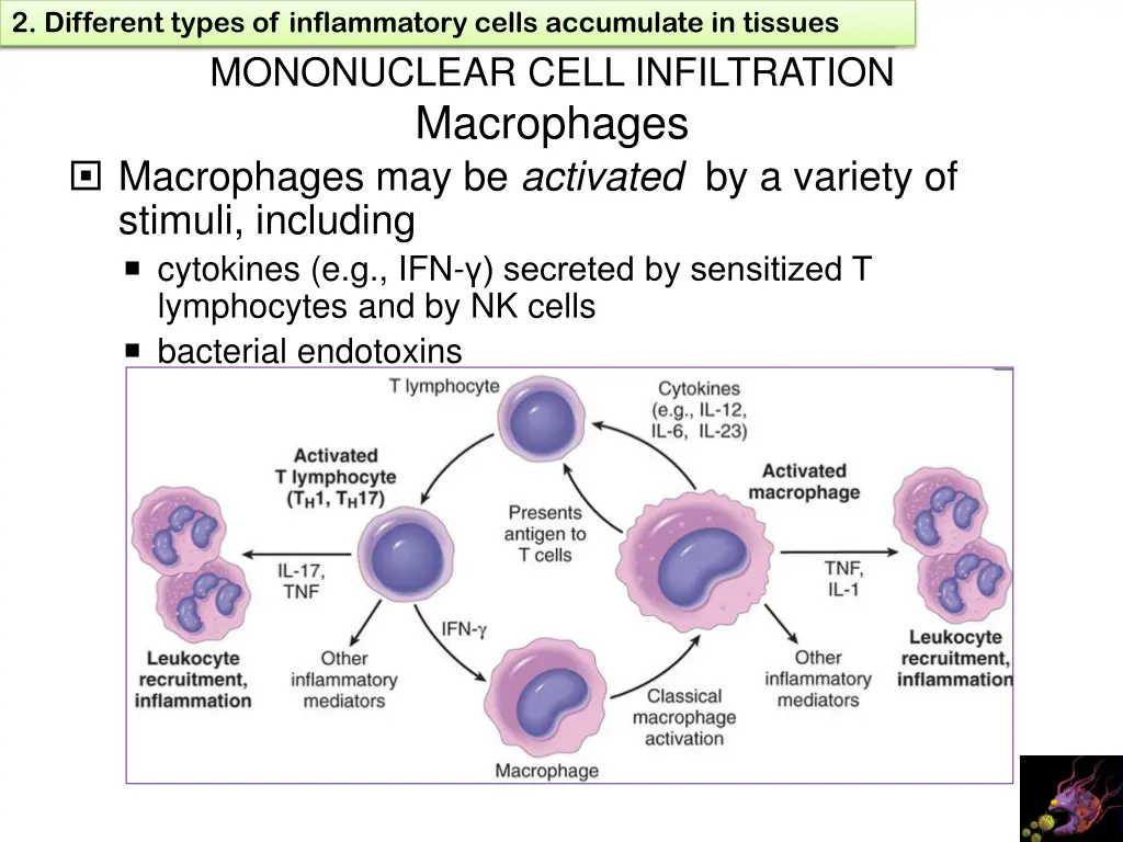 1 define chronic inflammation its causes effects 11