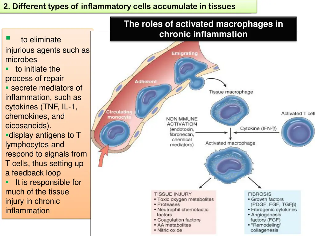 1 define chronic inflammation its causes effects 12