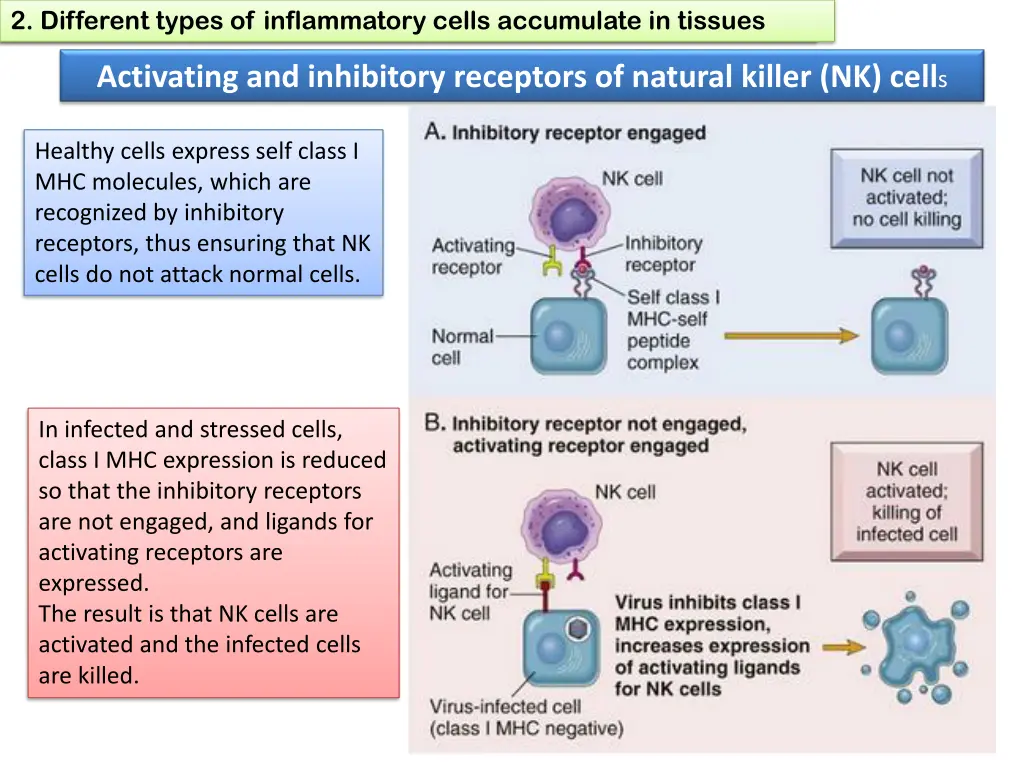 1 define chronic inflammation its causes effects 17