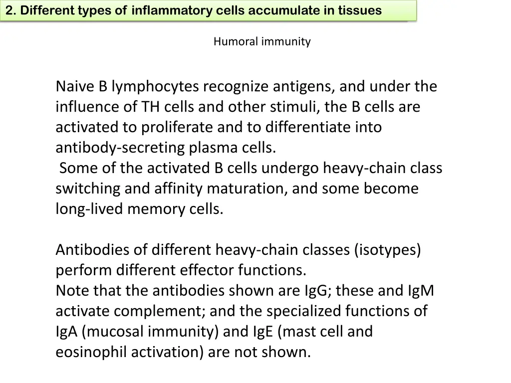 1 define chronic inflammation its causes effects 18