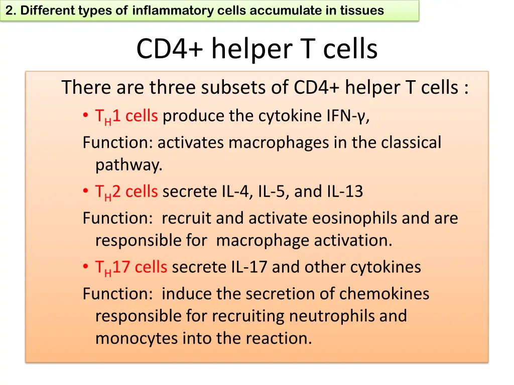 2 different types of inflammatory cells 2