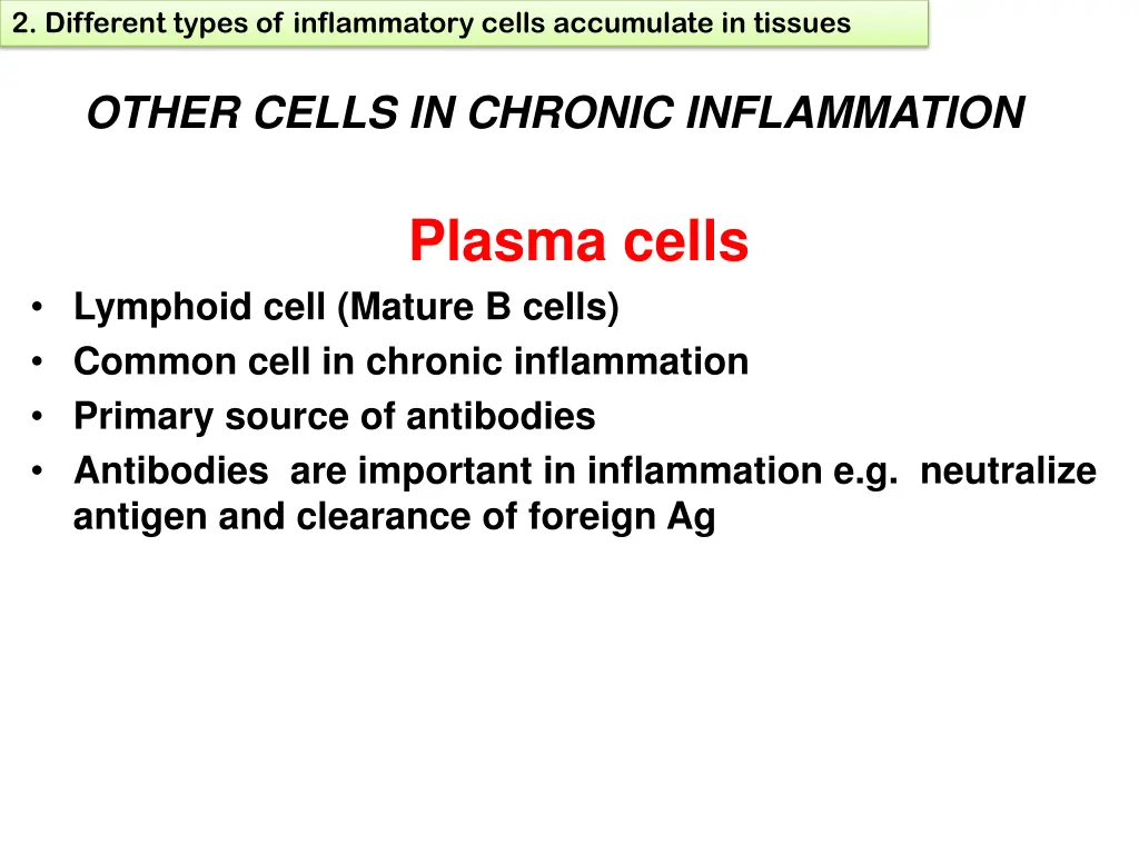 2 different types of inflammatory cells 4