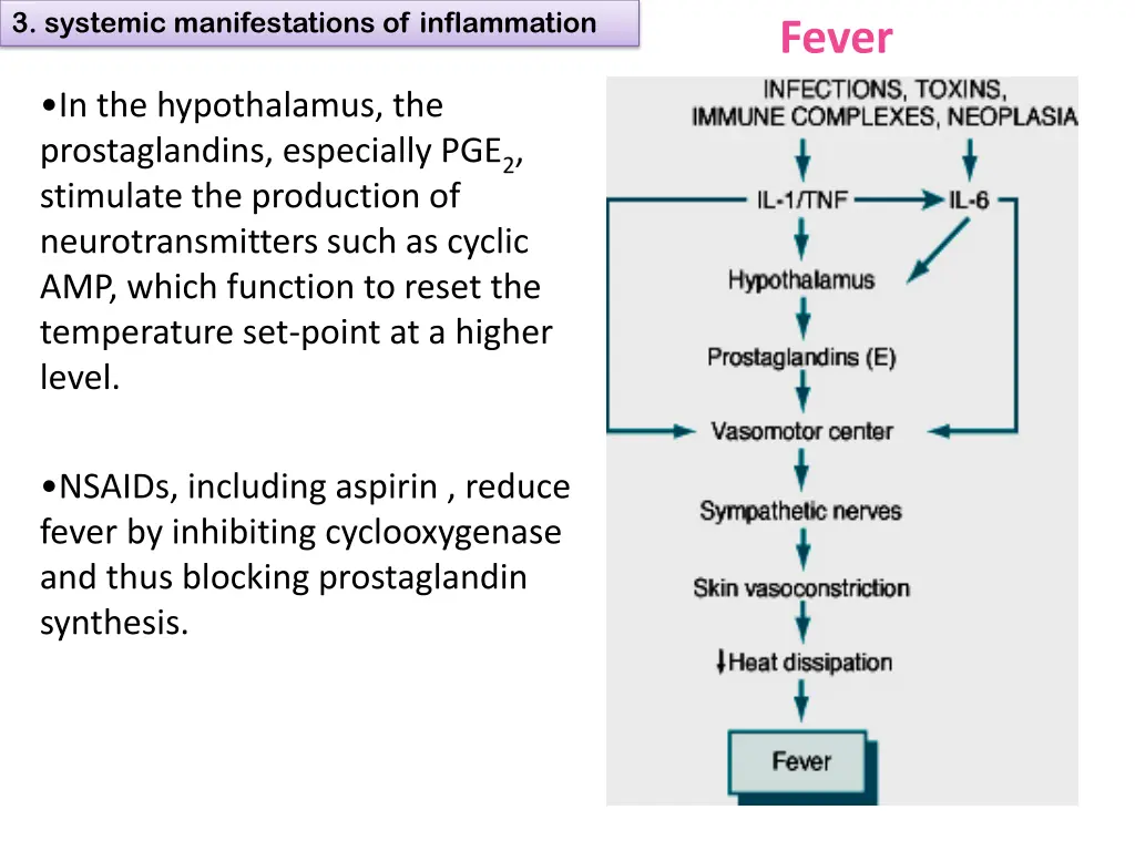 3 systemic manifestations of inflammation 2