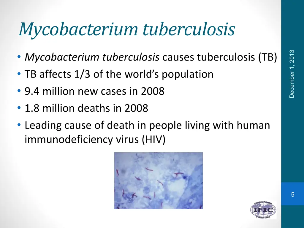 mycobacterium tuberculosis