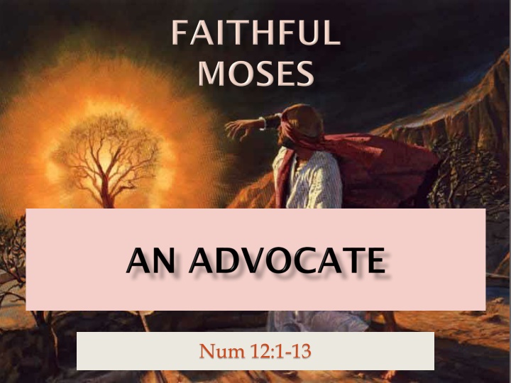 num 12 1 13