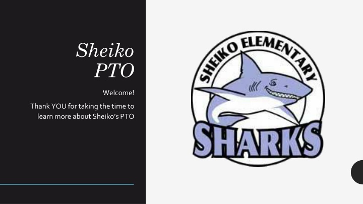 sheiko pto