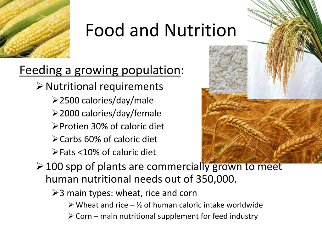 food and nutrition 1