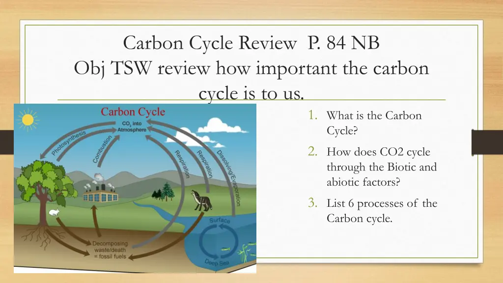 carbon cycle review p 84 nb obj tsw review