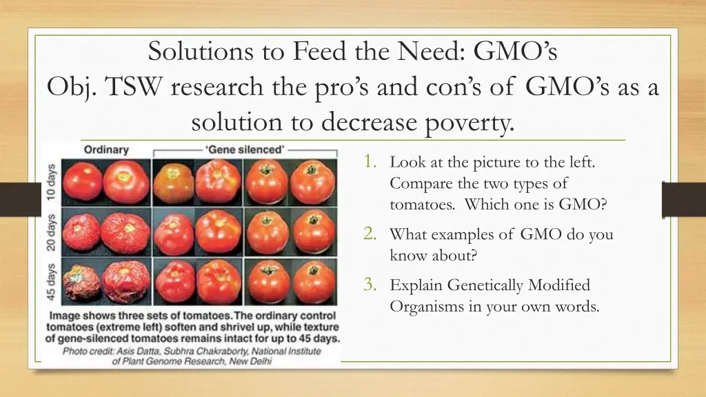 solutions to feed the need gmo s obj tsw research