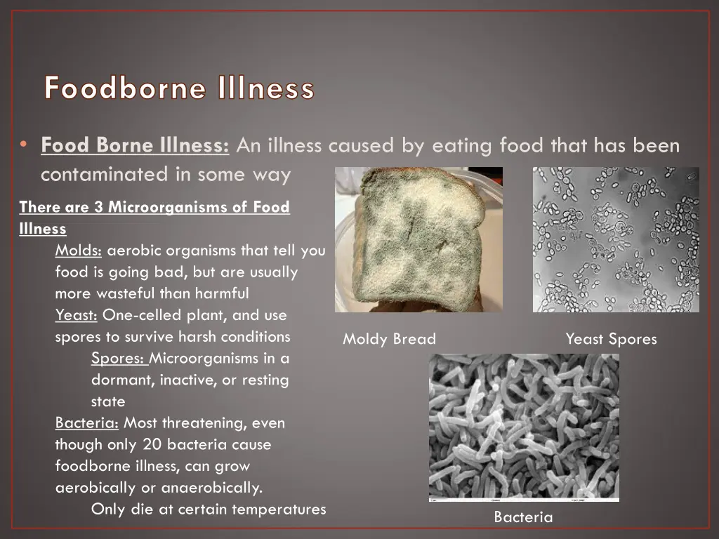 foodborne illness