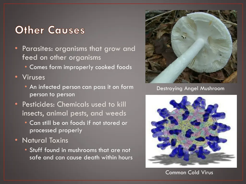 other causes