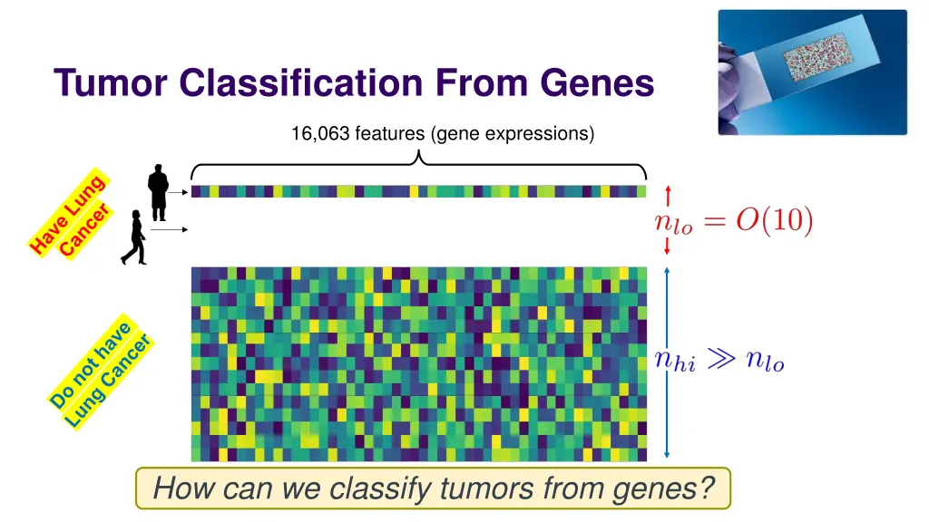 tumor classification from genes