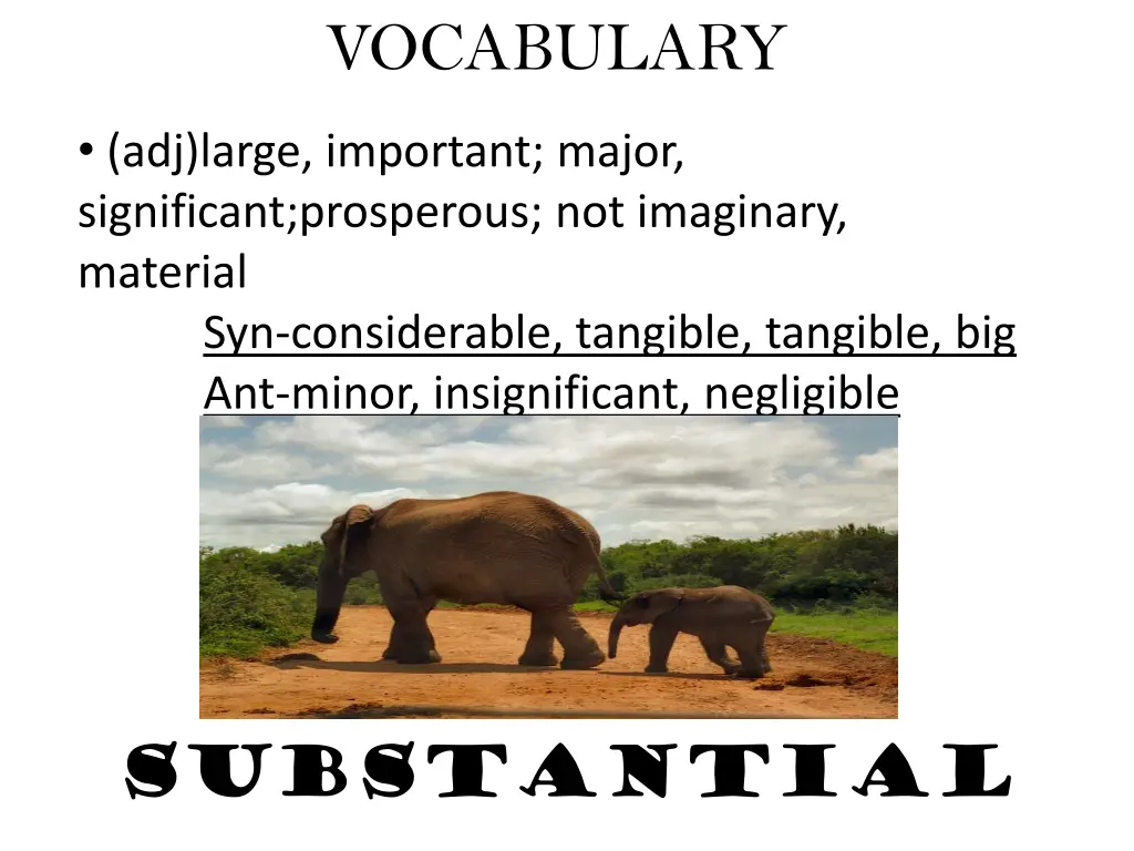 vocabulary 15