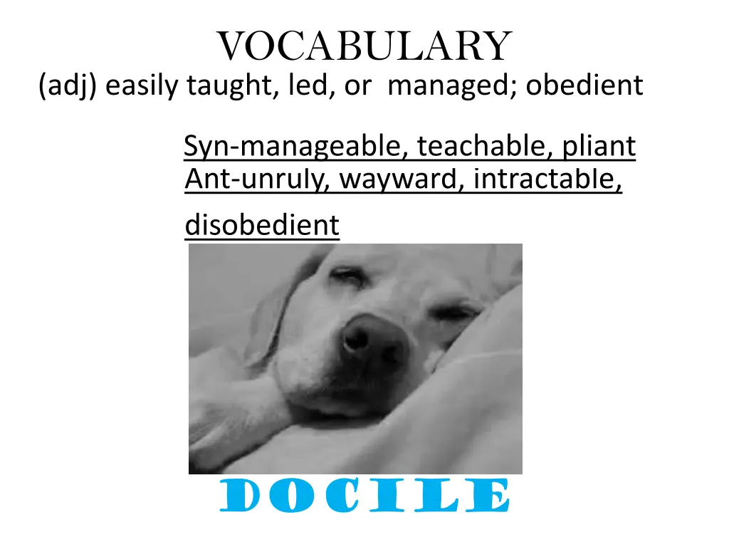 vocabulary 7