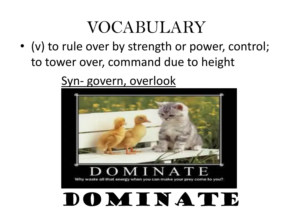 vocabulary 8