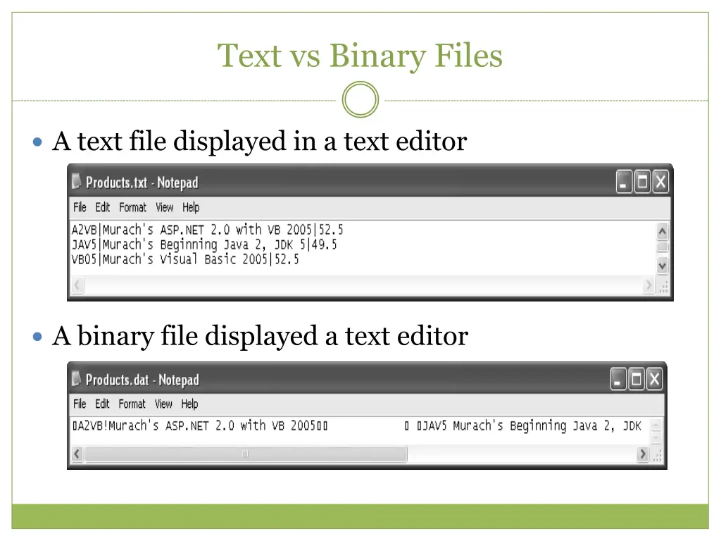 text vs binary files