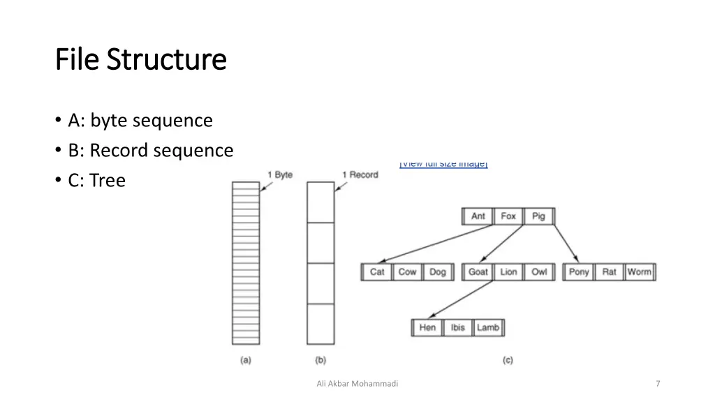 file structure file structure