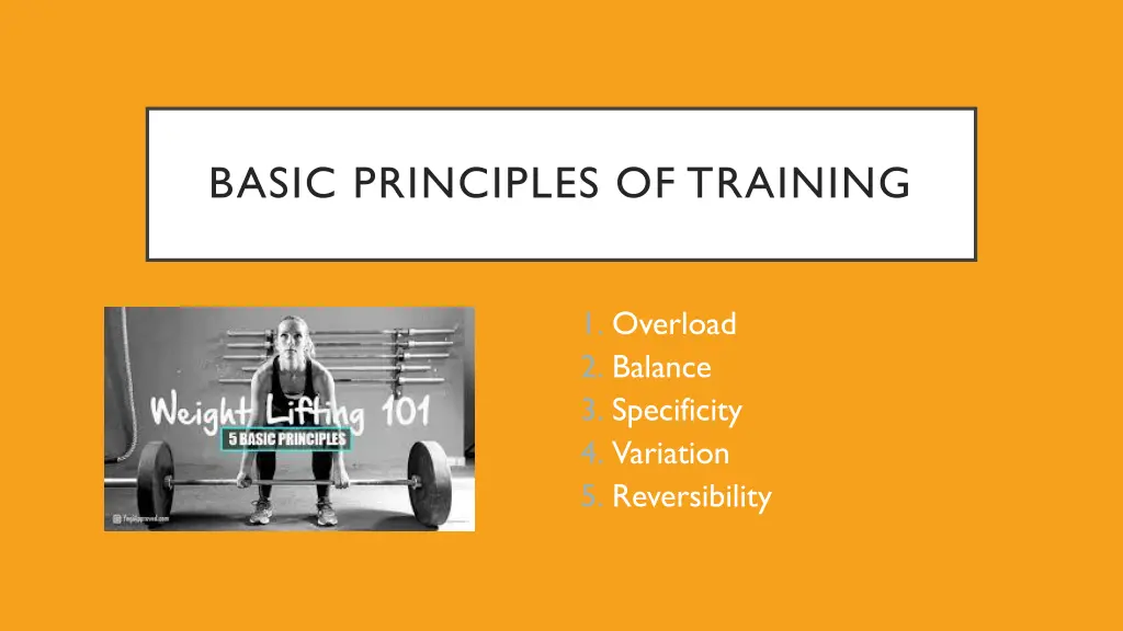 basic principles of training