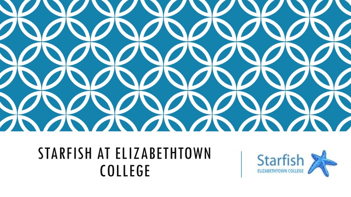 starfish at elizabethtown college