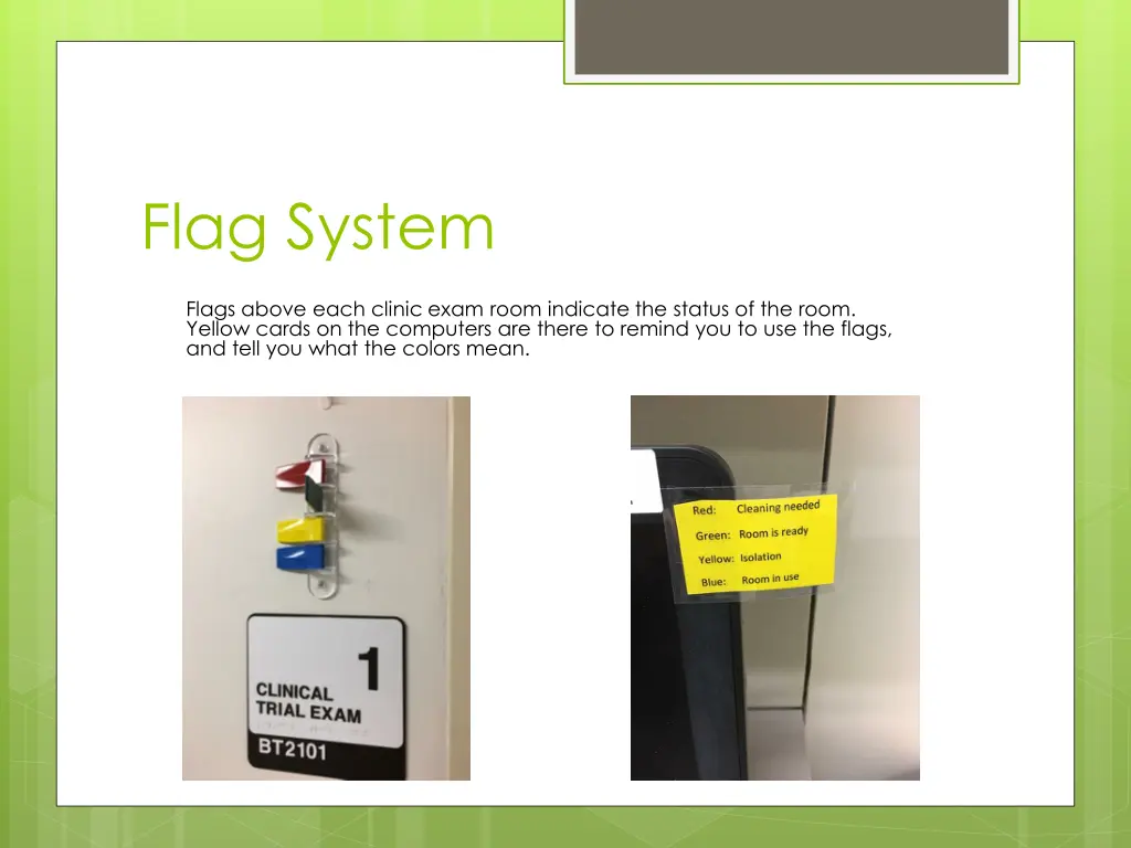 flag system