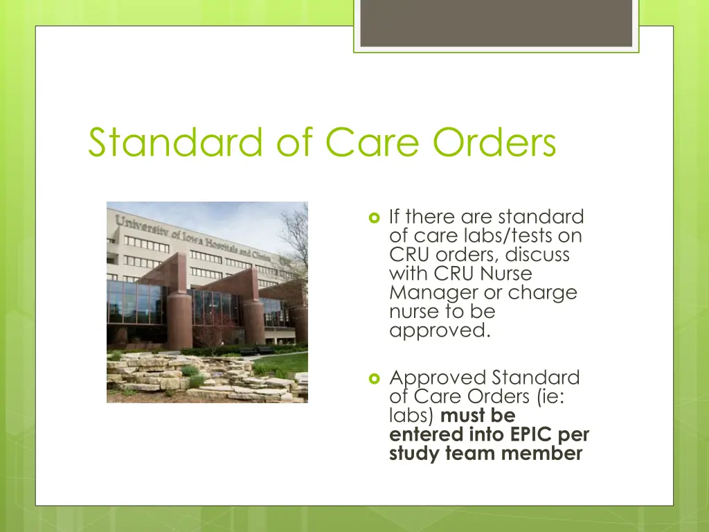 standard of care orders