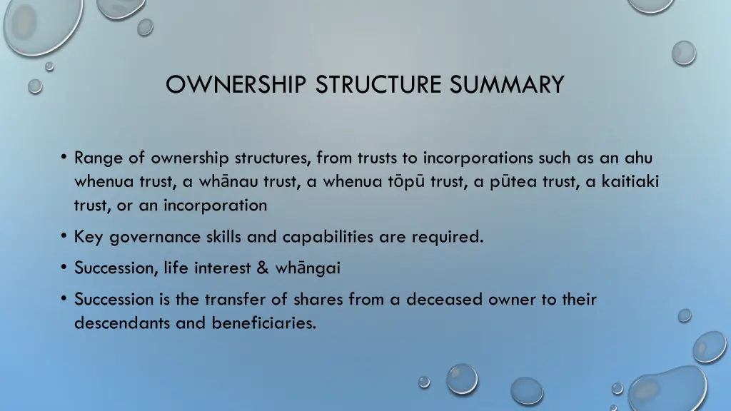 ownership structure summary