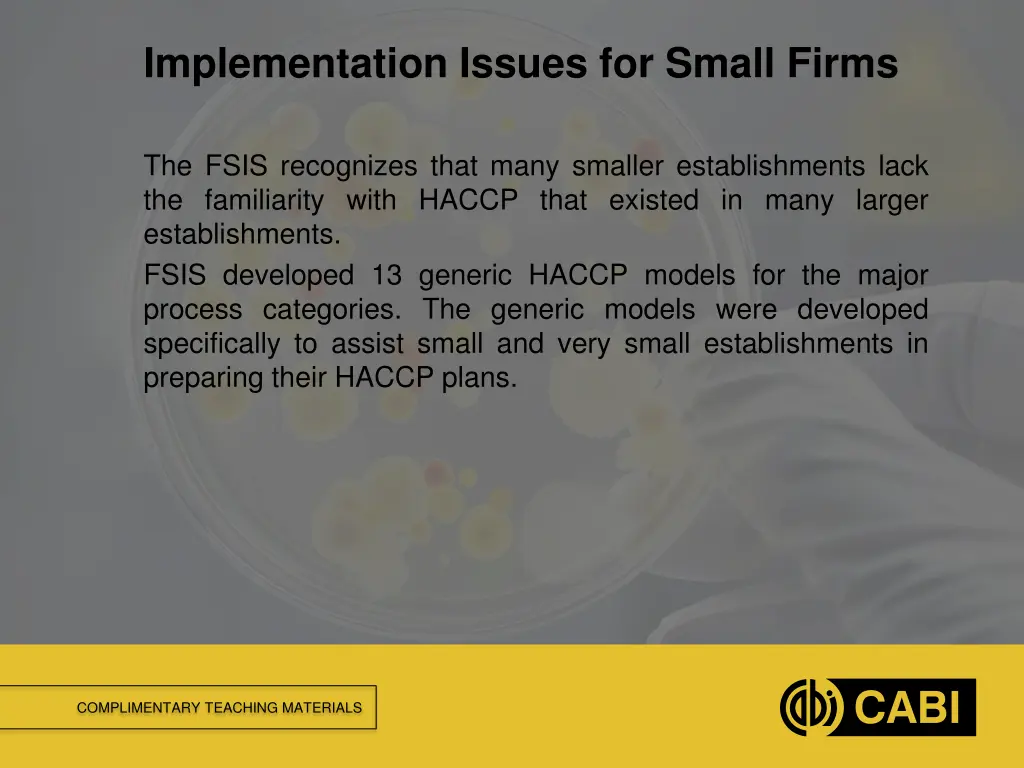 implementation issues for small firms