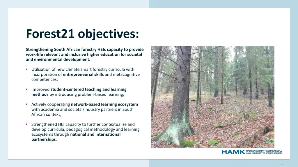 forest21 objectives