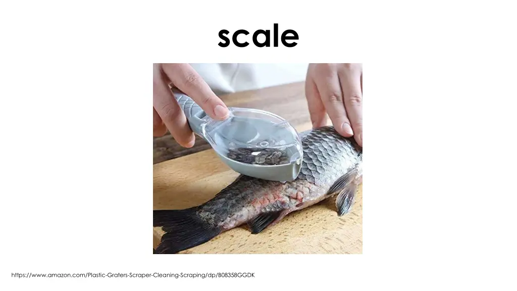 scale 1