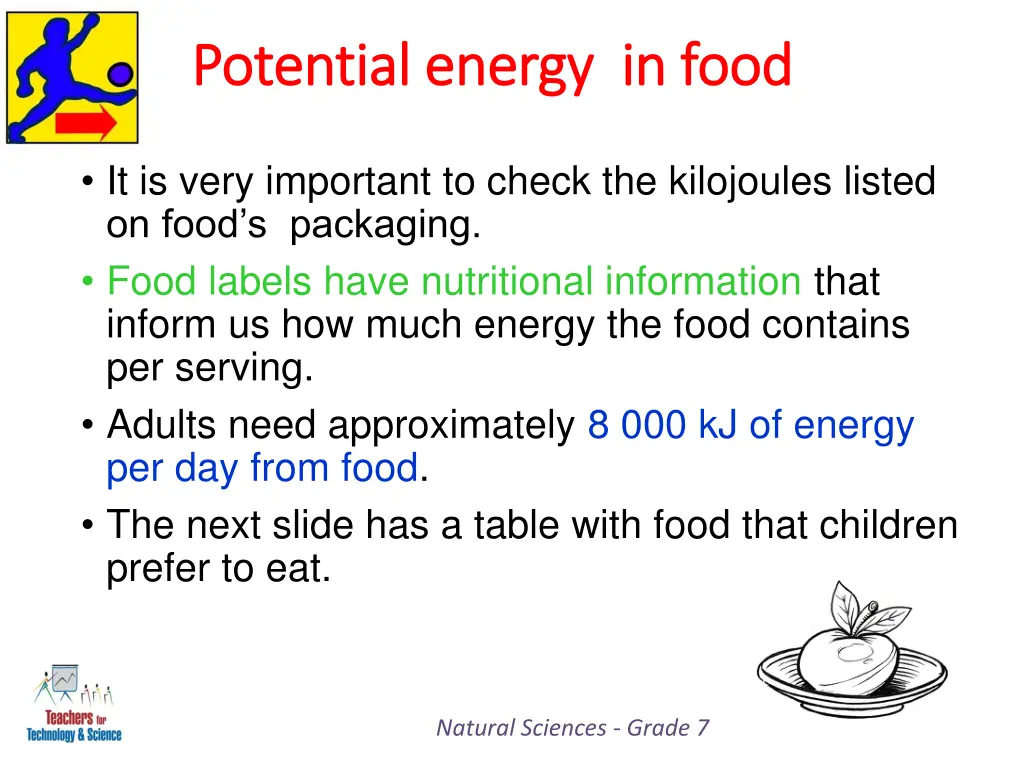 potential energy in food potential energy in food 1