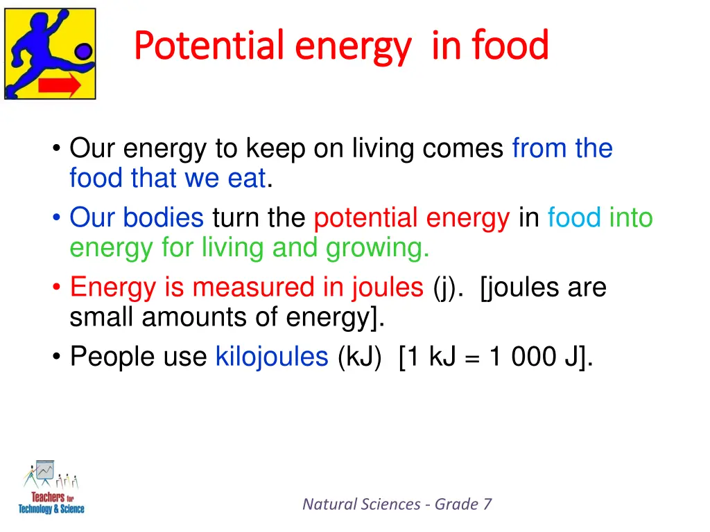 potential energy in food potential energy in food