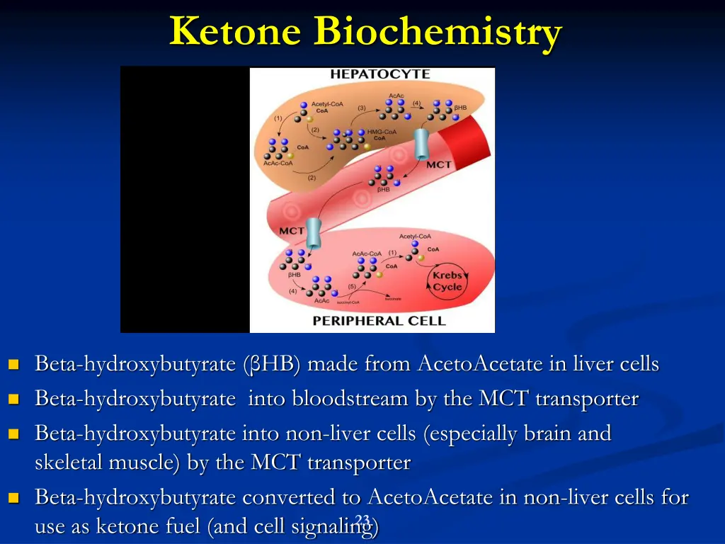 ketone biochemistry