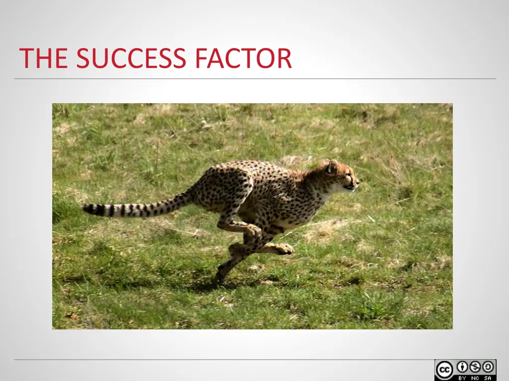 the success factor