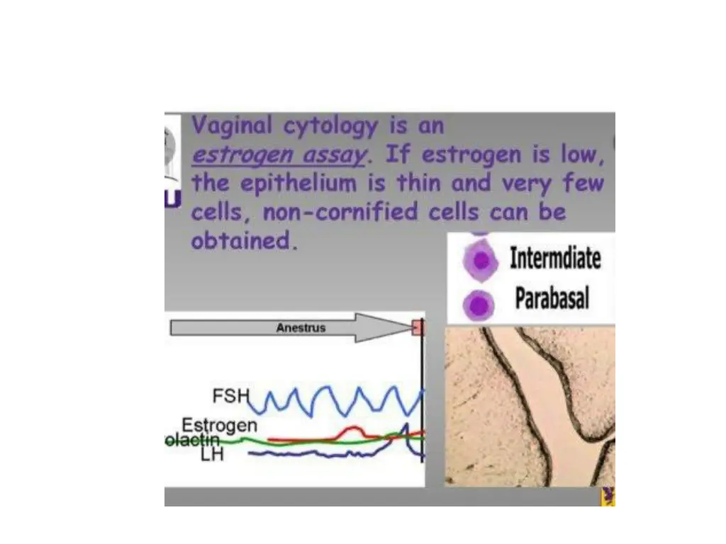 slide19