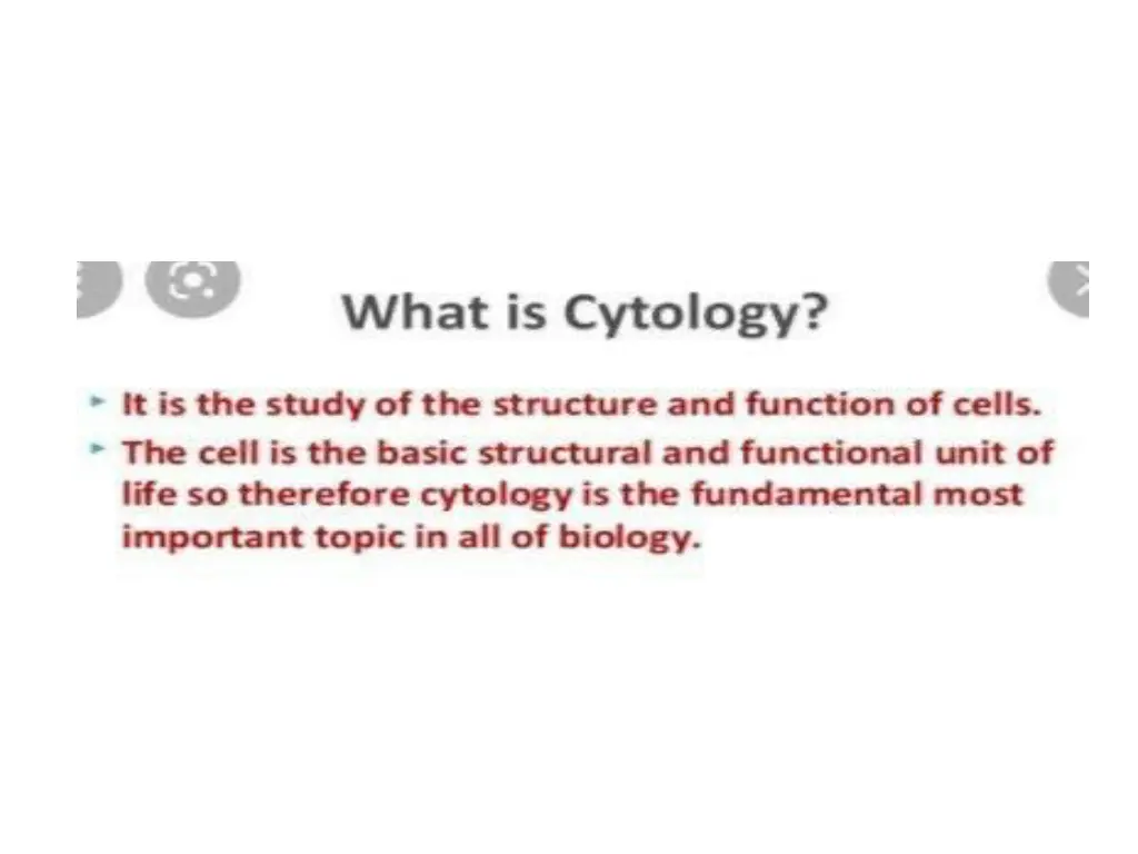 slide20