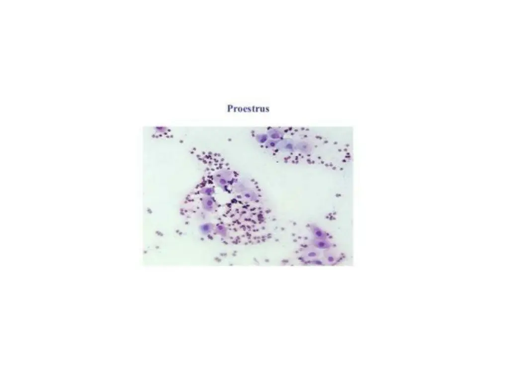 slide21