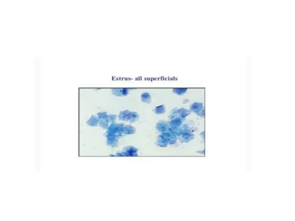 slide22