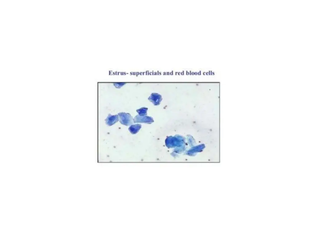 slide23